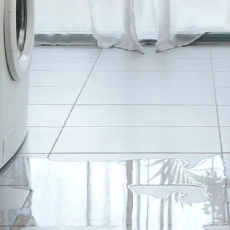 Appliance Leak Cleanup in Irvine, KY