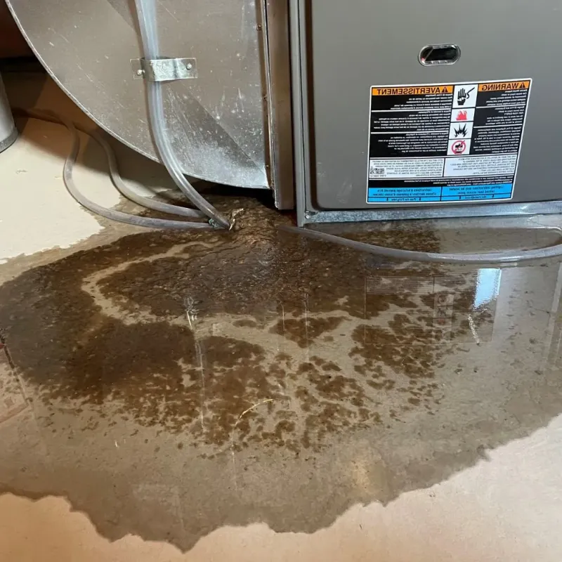 Pipe Burst and Leak Restoration in Irvine, KY