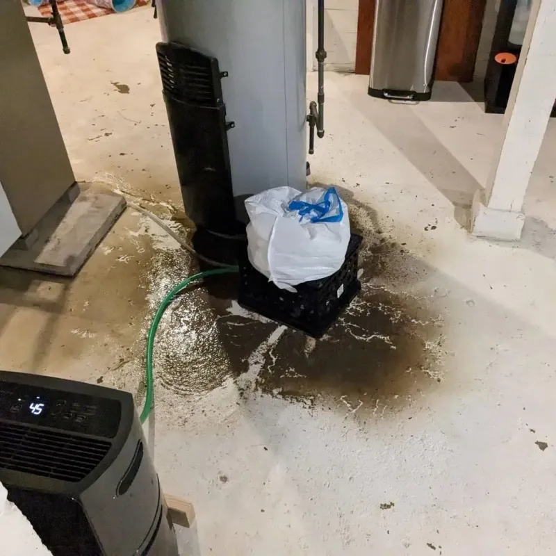 Sewage Backup Cleanup Service in Irvine, KY